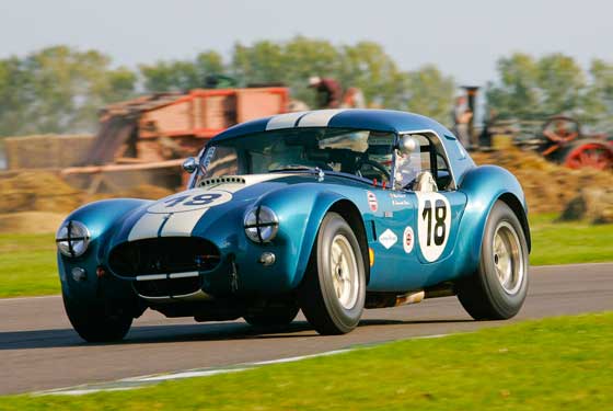 The AC Cobra Race at the Goodwood Revival