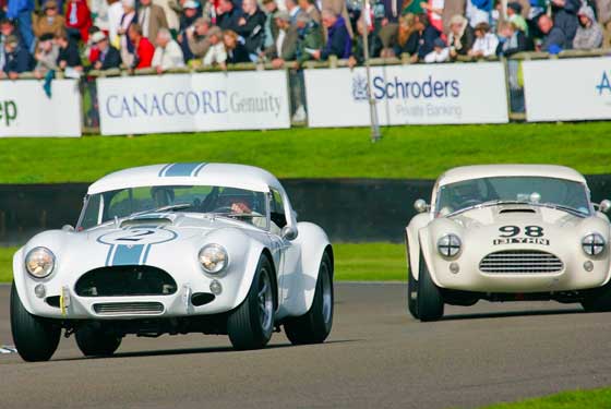 AC Cobras racing in the Goodwood Revival
